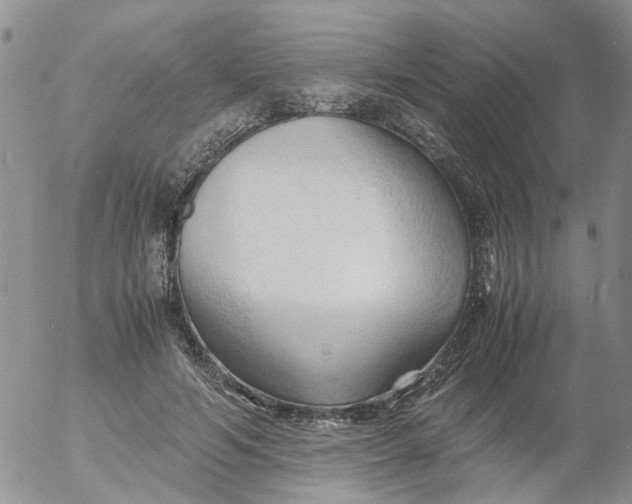 X0000053090594200508012034