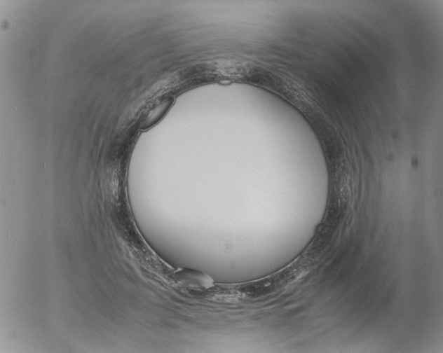 X0000053090595200508012034