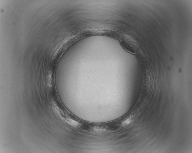 X0000053090596200508012034