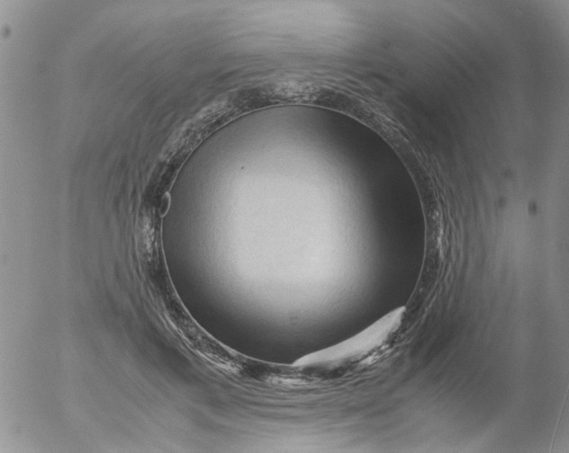 X0000053090597200508012034