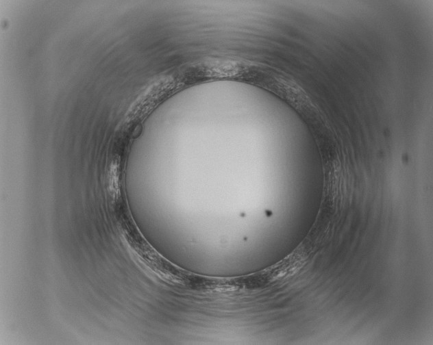 X0000053090598200508012034