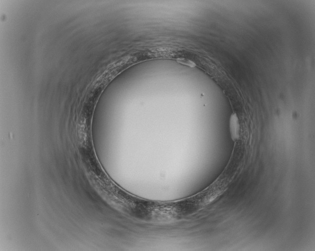 X0000053090599200508012034