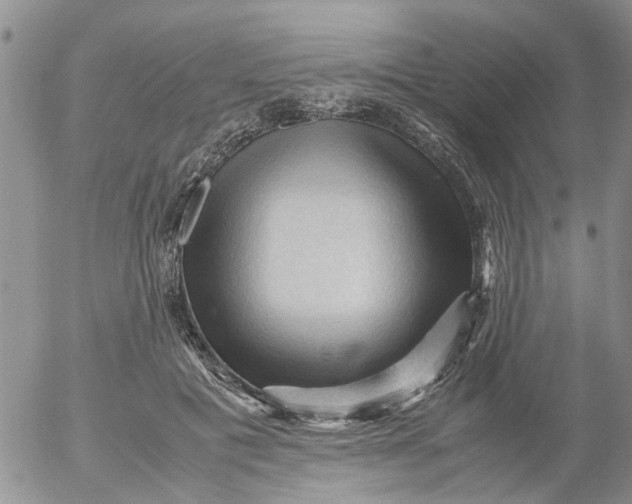 X0000053090601200508012034