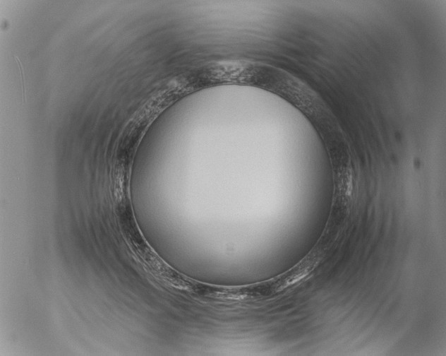 X0000053090602200508012034