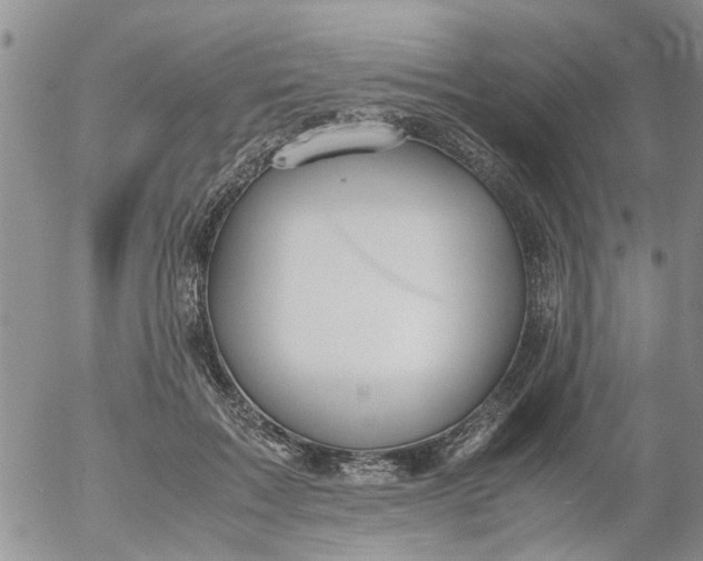 X0000053090603200508012034