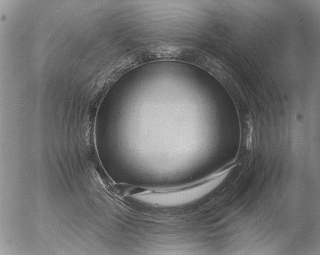 X0000053090604200508012034