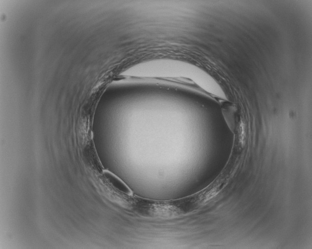 X0000053090605200508012034