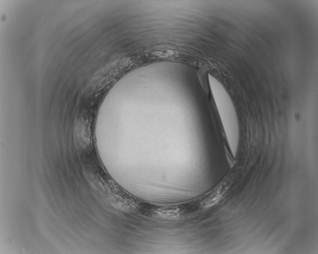 X0000053090606200508012034