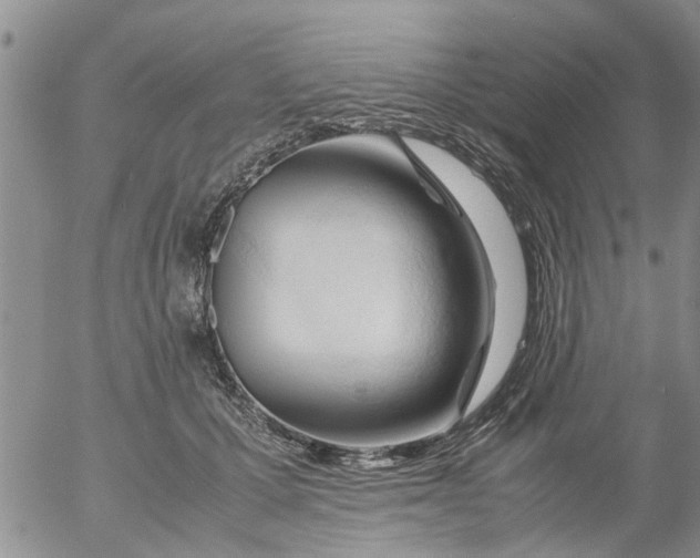 X0000053090607200508012034