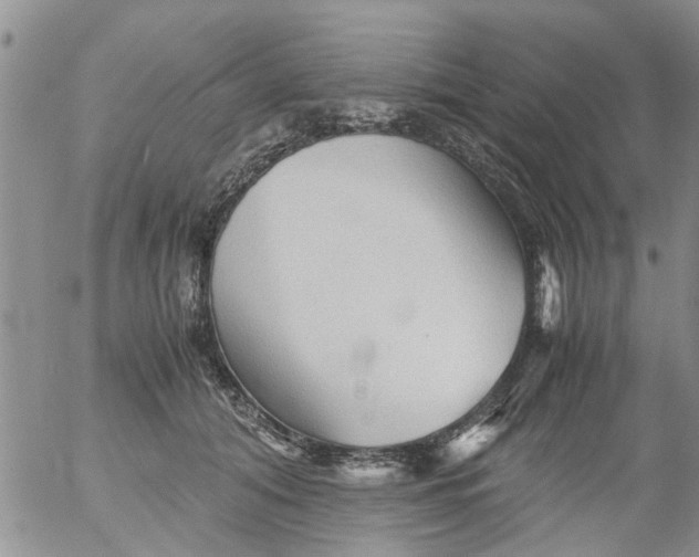 X0000053090608200508012034