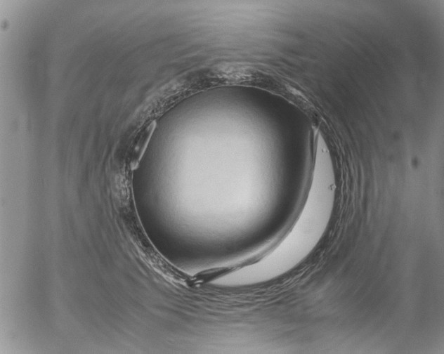 X0000053090609200508012034