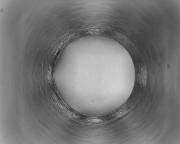 X0000053090610200508012034