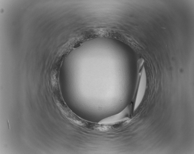 X0000053090611200508012034