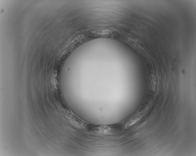 X0000053090612200508012034