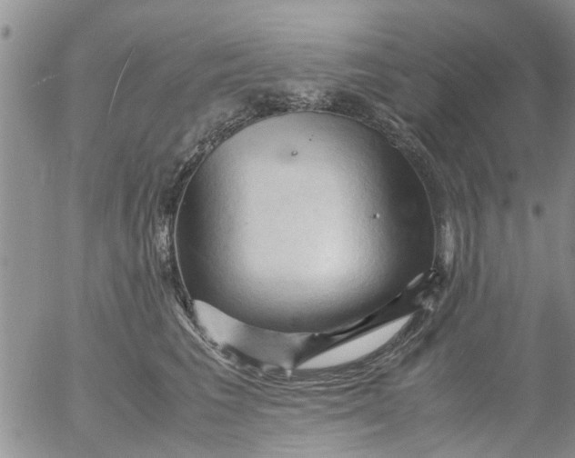 X0000053090613200508012034