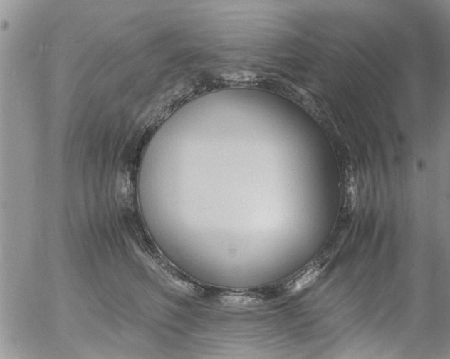 X0000053090614200508012034