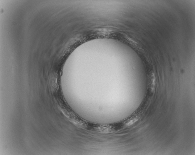 X0000053090615200508012034