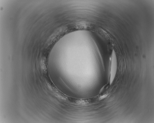 X0000053090616200508012034