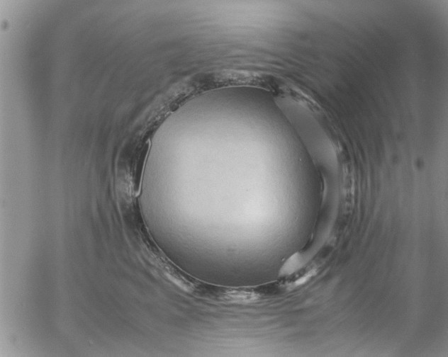 X0000053090617200508012034