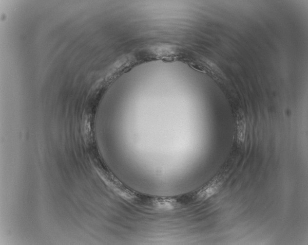 X0000053090618200508012034