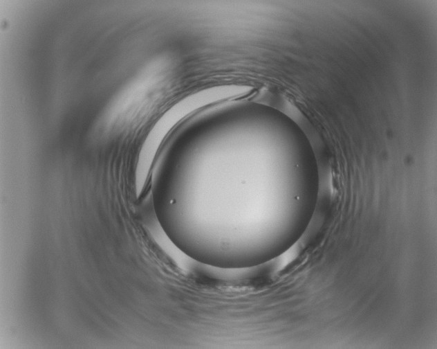 X0000053090619200508012034