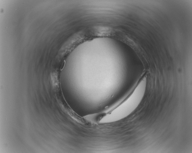 X0000053090620200508012034