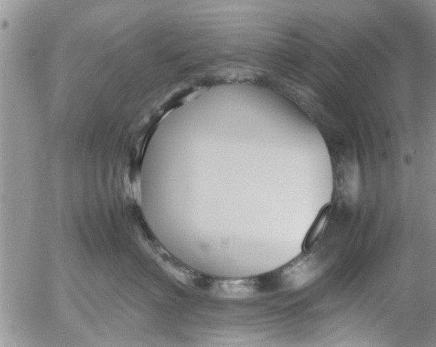 X0000053090622200508012034