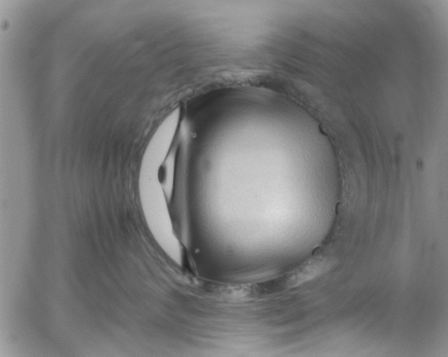 X0000053090624200508012034