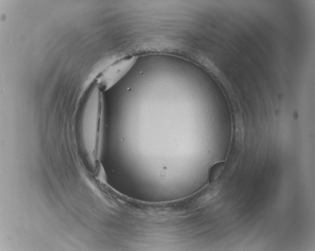 X0000053090626200508012033