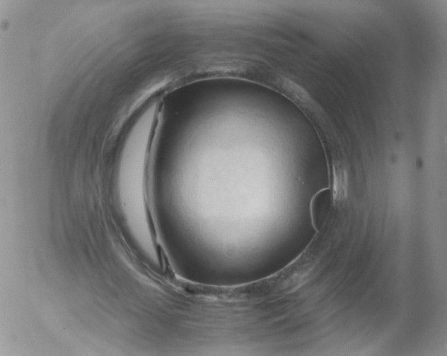 X0000053090627200508012033