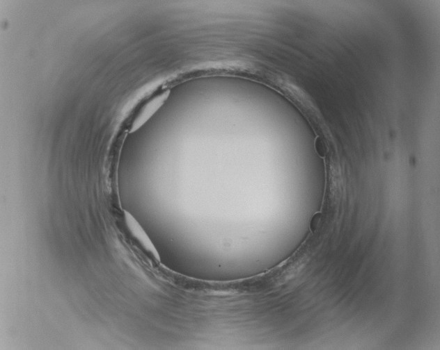 X0000053090628200508012033