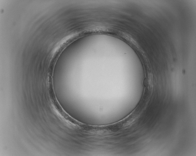 X0000053090629200508012033