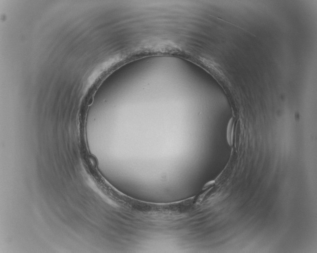 X0000053090630200508012033