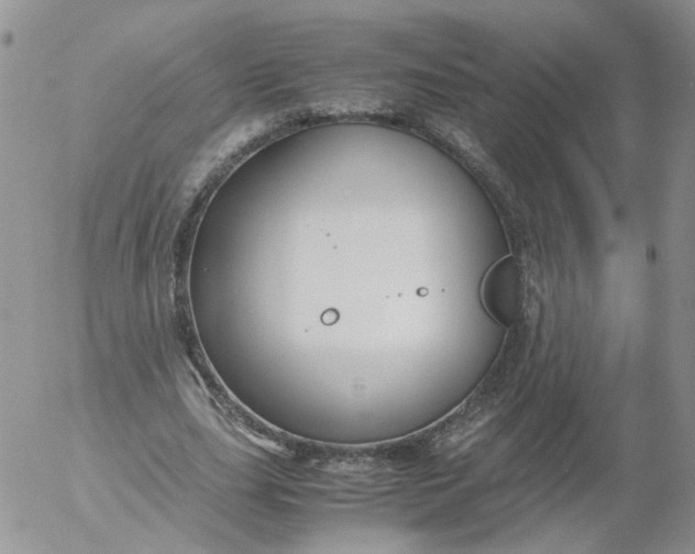 X0000053090631200508012033