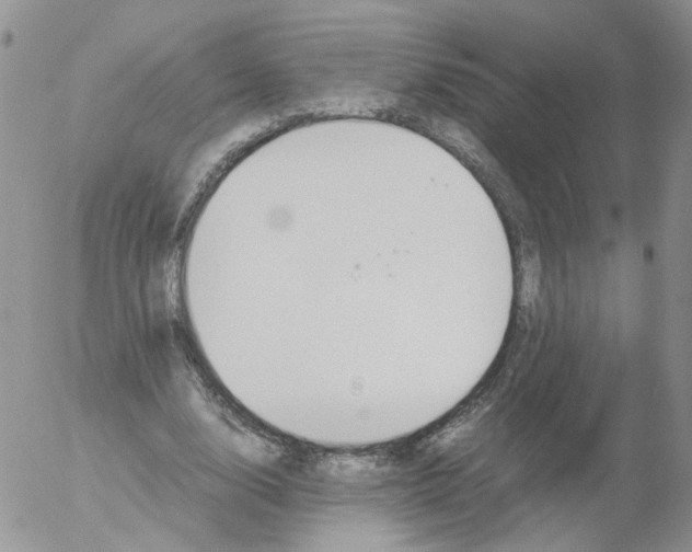 X0000053090632200508012033