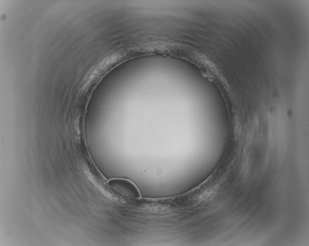 X0000053090633200508012033