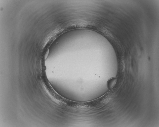 X0000053090638200508012033