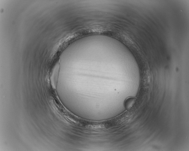 X0000053090639200508012033