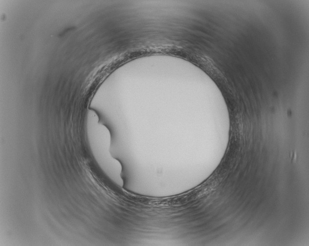 X0000053090640200508012033