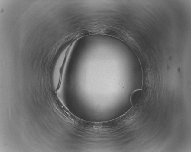 X0000053090641200508012033