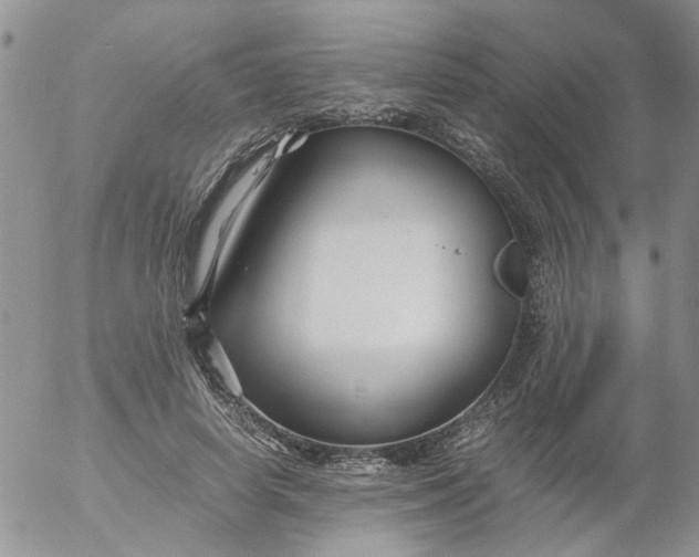 X0000053090642200508012033