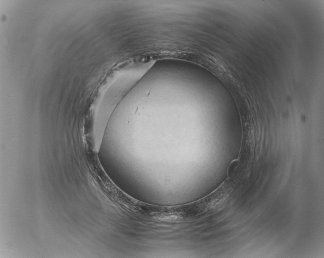 X0000053090643200508012033