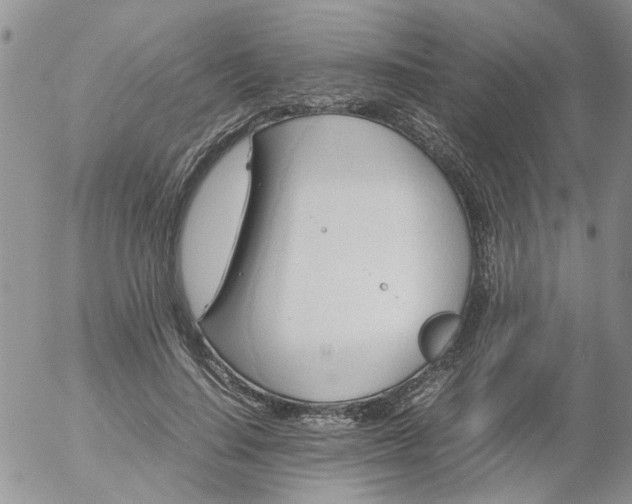 X0000053090644200508012033