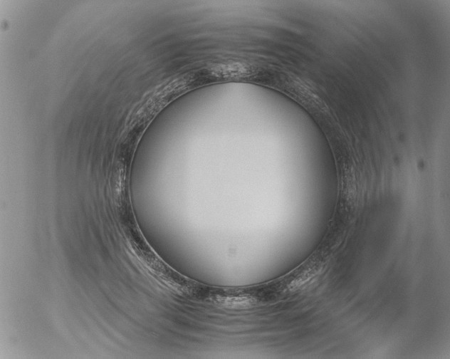 X0000053090645200508012033