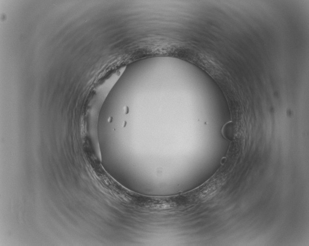 X0000053090646200508012033