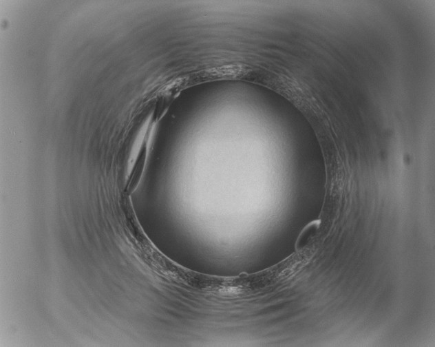 X0000053090647200508012033