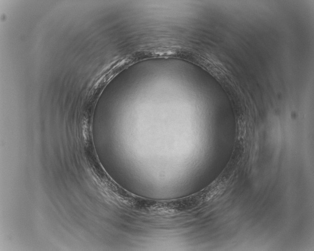 X0000053090648200508012033