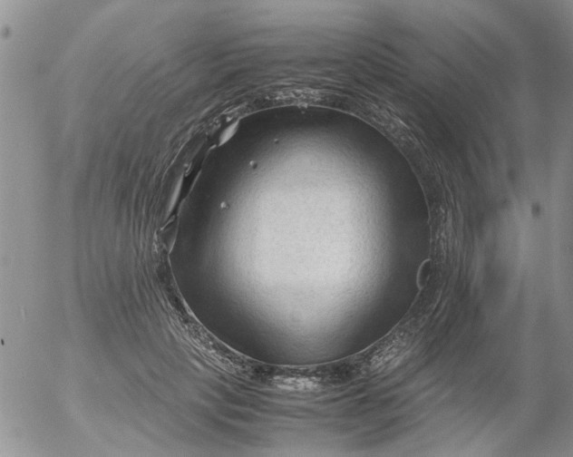 X0000053090649200508012033