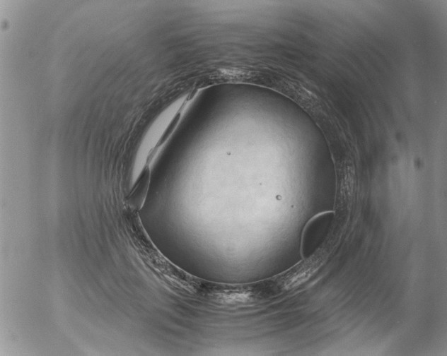 X0000053090651200508012034