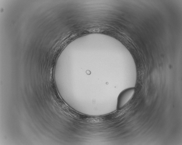 X0000053090652200508012034